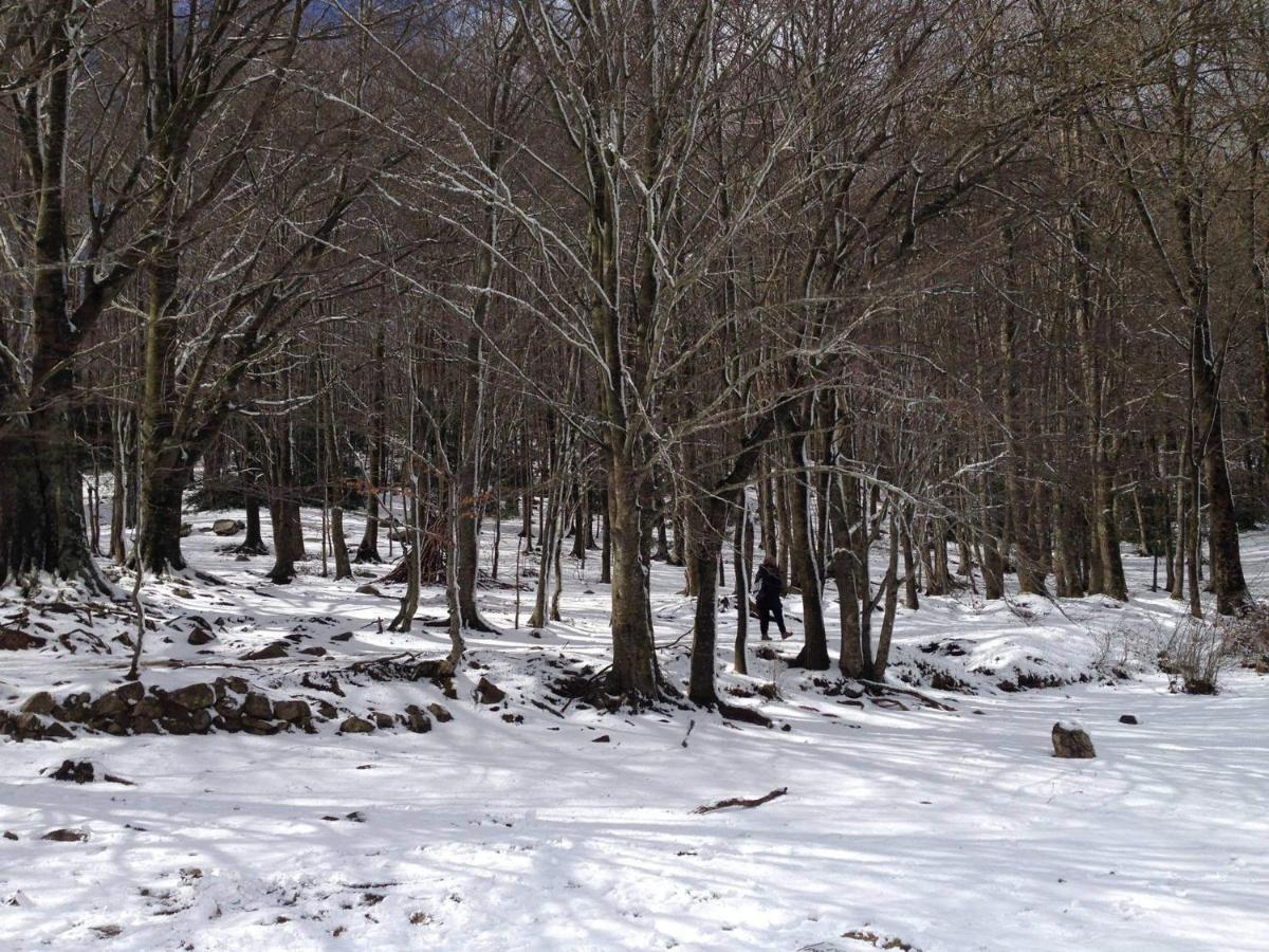 Rural Montseny